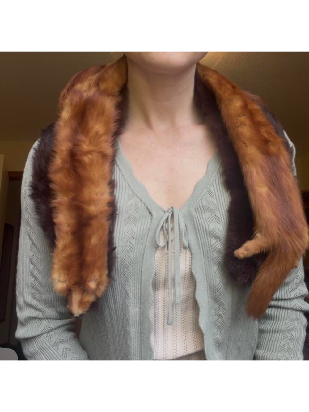 Vintage Whole Fox scarf with fur stole